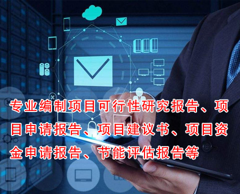 项目申请报告